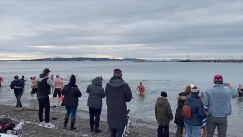 Polar Bear enthusiasts Spotted at the beach