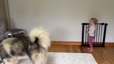 Adorable Baby Girls Puts Her Dog To Bed Even Reads Him A Story!