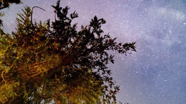 Night sky with shooting stars