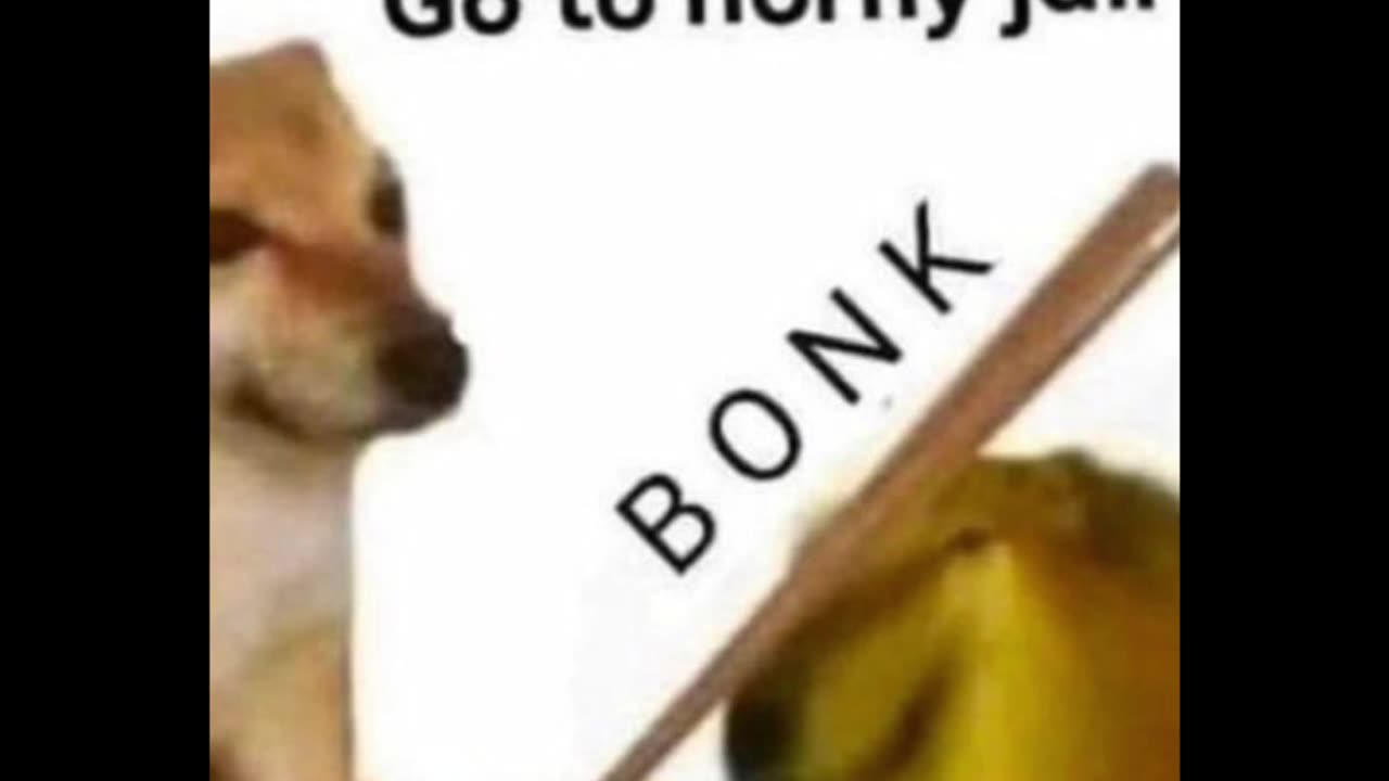 Random Memes 485