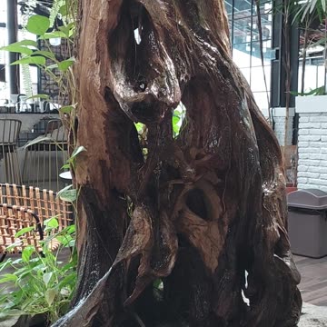 Ambient video made in a coffee shop in Semarang, Indonesia