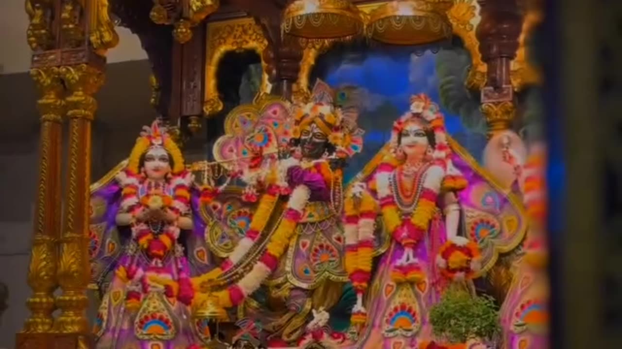 Video of Lord Shri Krishna.