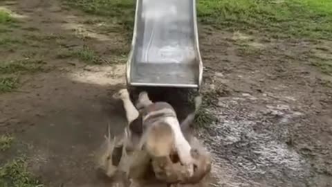 Babe slide 😁