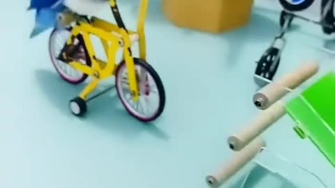 Funny Parrot Bicycling