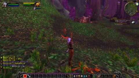 Hunter leveling 1-5