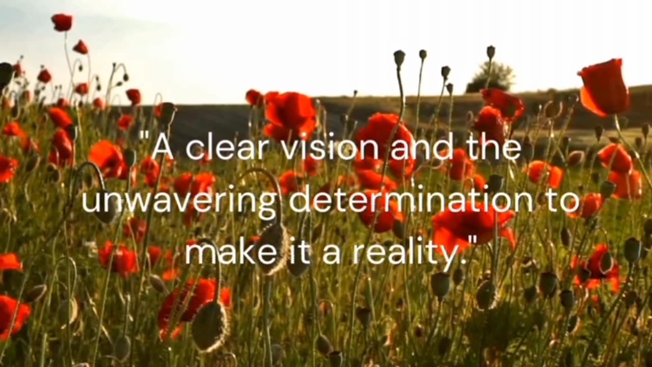 A clear vision and...