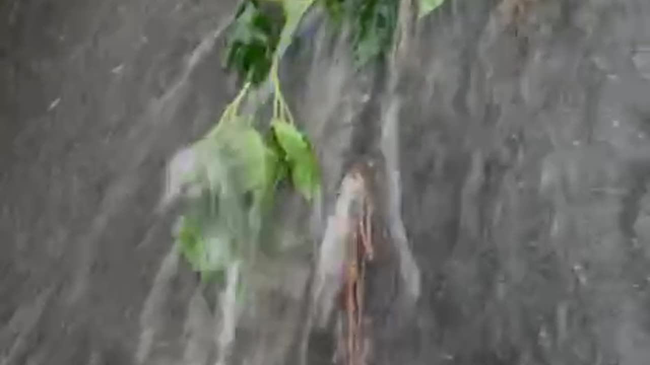 See how the rain water flowing strongly downward?