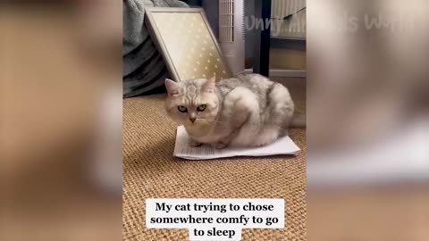 Funny Animal Videos 2023 😅 - Funniest Dogs and Cats Videos 😁 #15