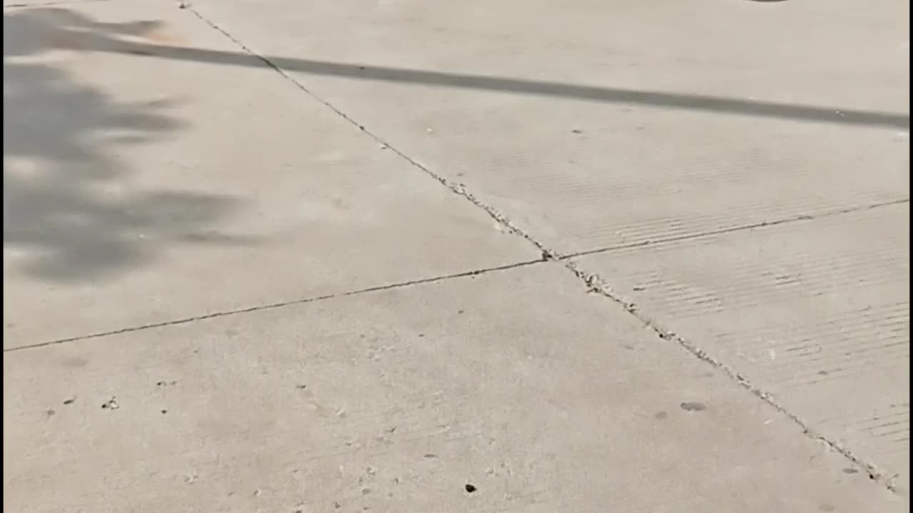 Speed skating | Skating | Skating Girl | #rumble #rumble studio #skating #skater #Harshalidhankhola