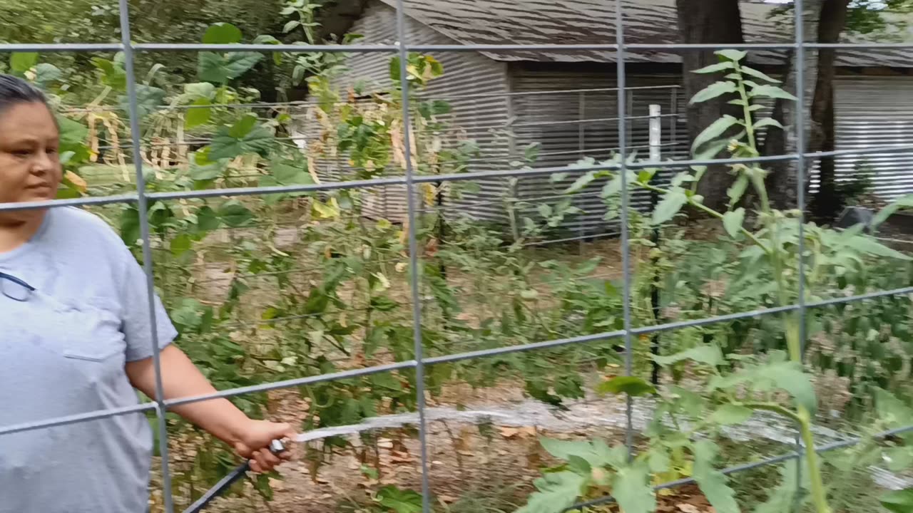 Gardening after the Rain Bow Month Push Back