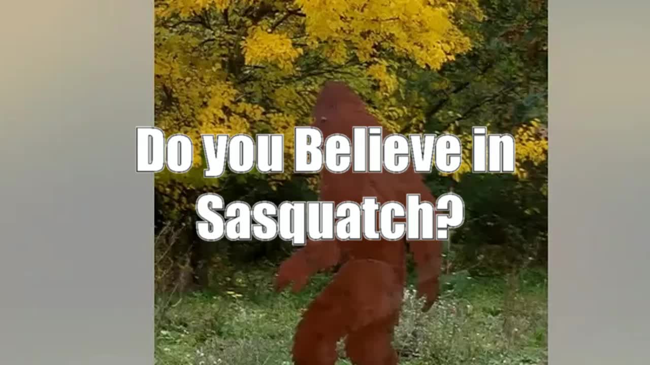 Michigan Sasquatch Missing