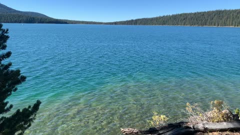 Central Oregon – Paulina Lake “Grand Loop” – Mighty Ponderosa Pine