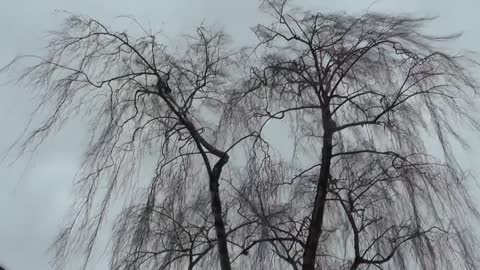 Thunderstorm Stock Footage