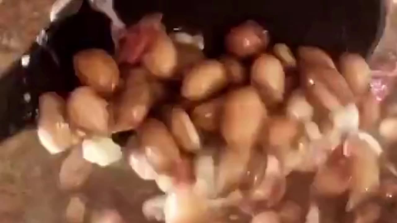 OLHA ESSE FEIJÃO QUE MAGNÍFICO😋
