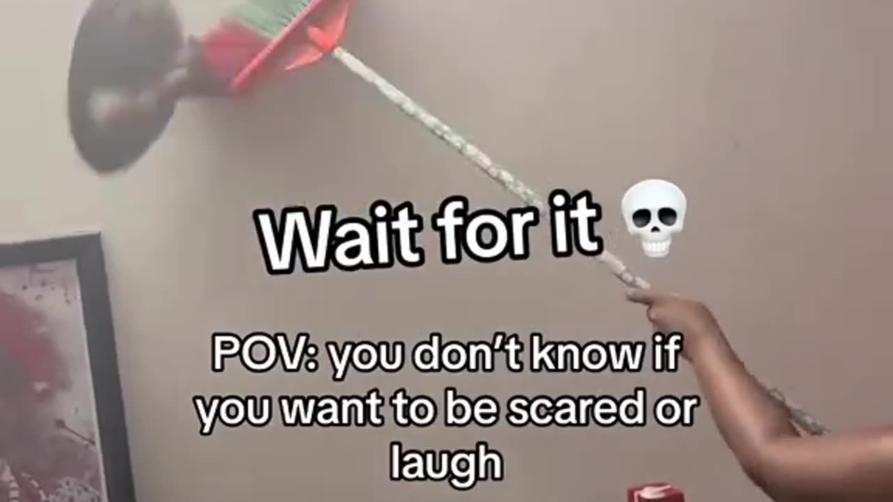 Lizard is very fast
