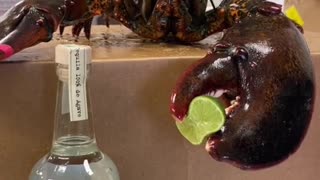 Lobster Helps Make Drink with Lime