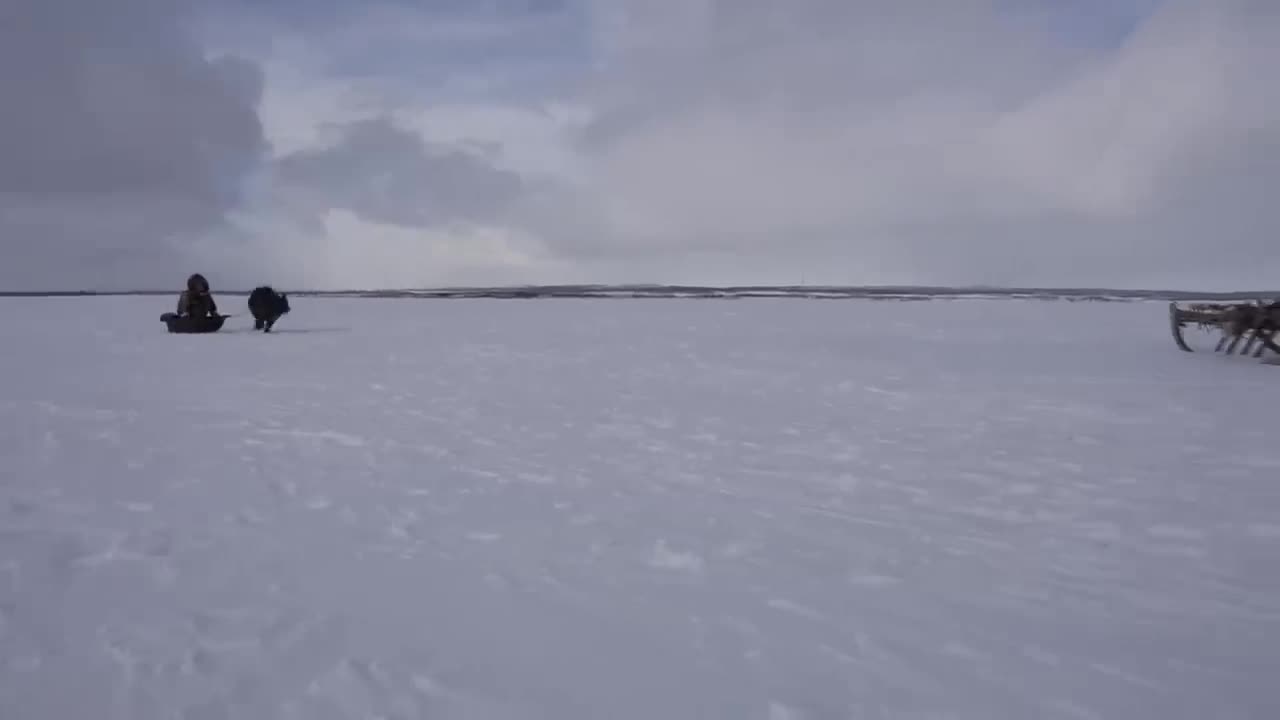 North Nomads life in winter. Ural mountains and tundra life. Russia. Full film.