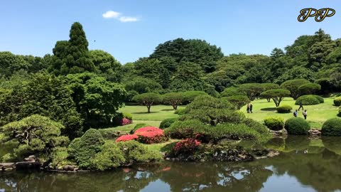 Relaxing Music | Sleeping, Meditation, Stress Relief | [1323] ⭐️