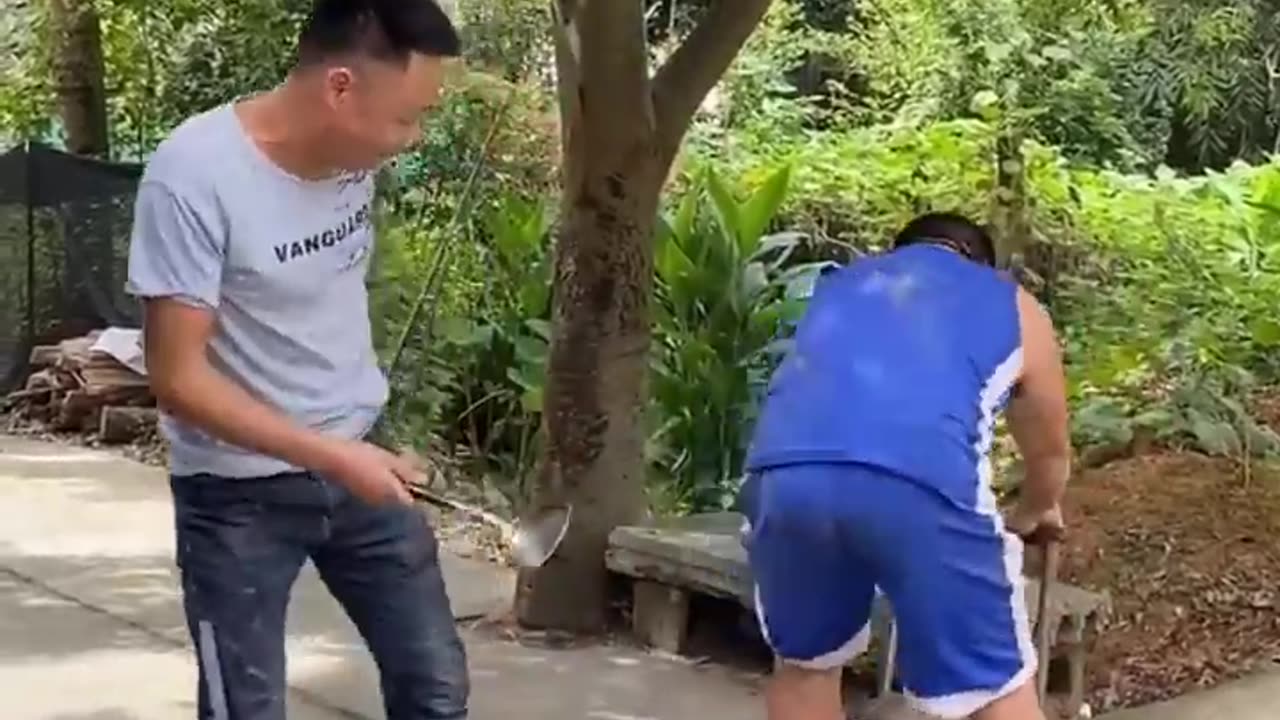 Best Funny Videos - Try to Not Laugh 😆😂🤣 Part 17