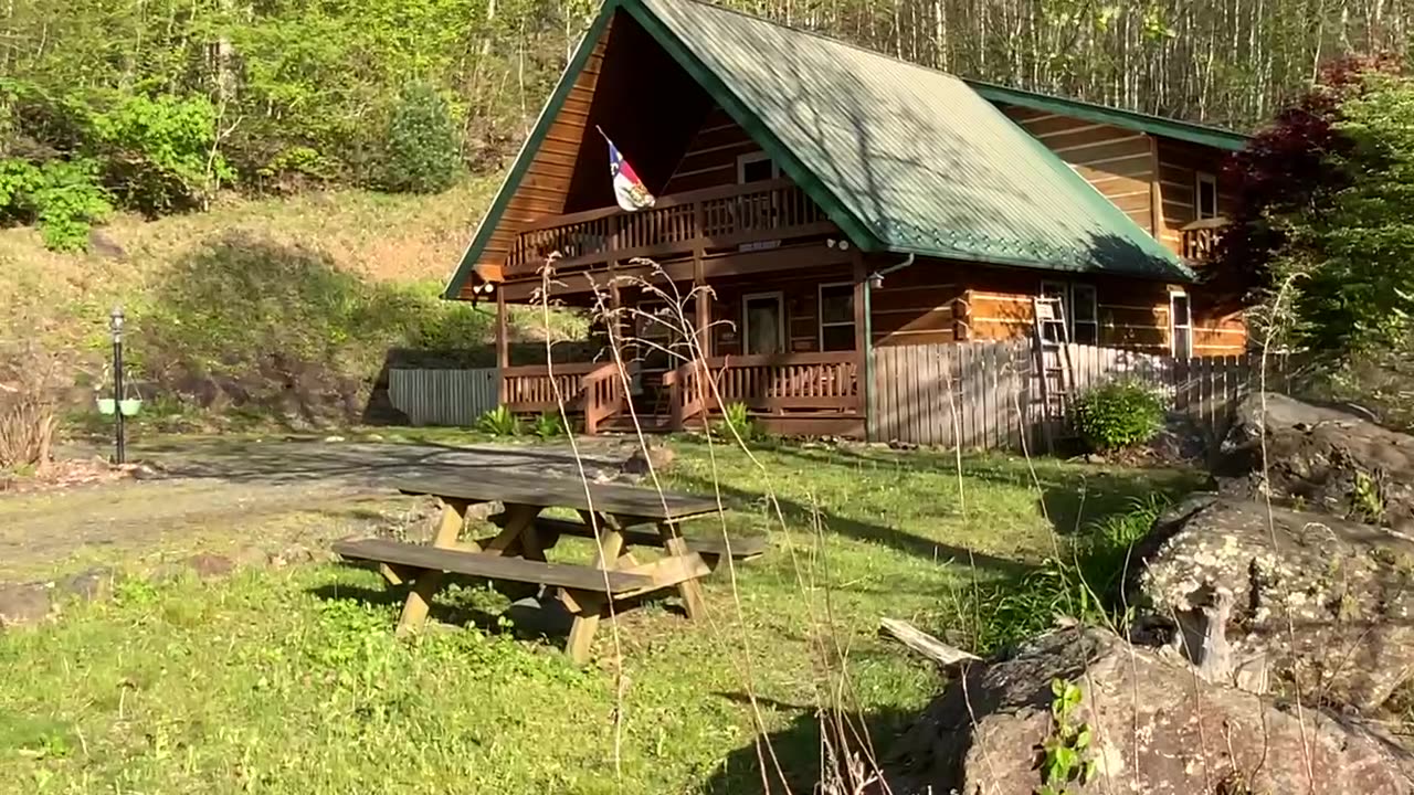 NW NC 🚘 drive from our mailbox to the Treehouse 🌳