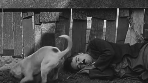A Dog's Life starring Charlie Chaplin