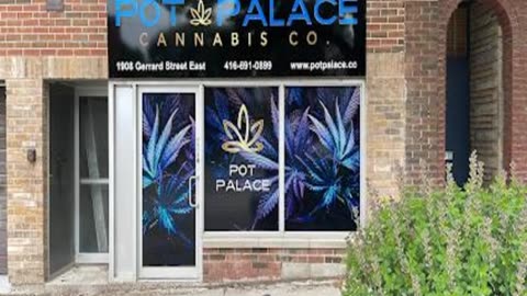 Best Dispensary in Don Mills