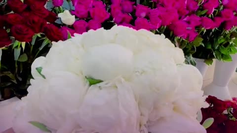Beautiful flowers for you!