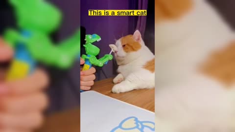 Smart Cat