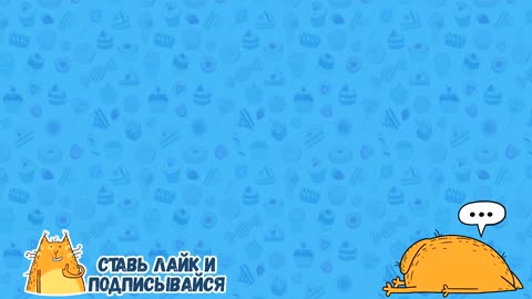 Funny cats and other animals