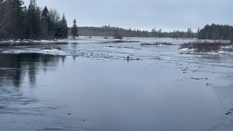 East Branch of a Round Hill River