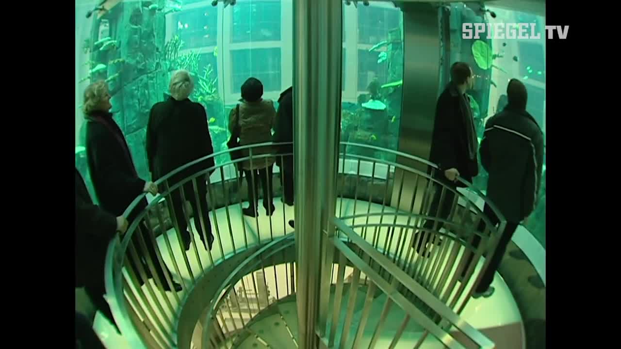 GEPLATZTES AQUARIUM in Berlin: Mögliche Ursache gefunden? (YouTube Kacke)