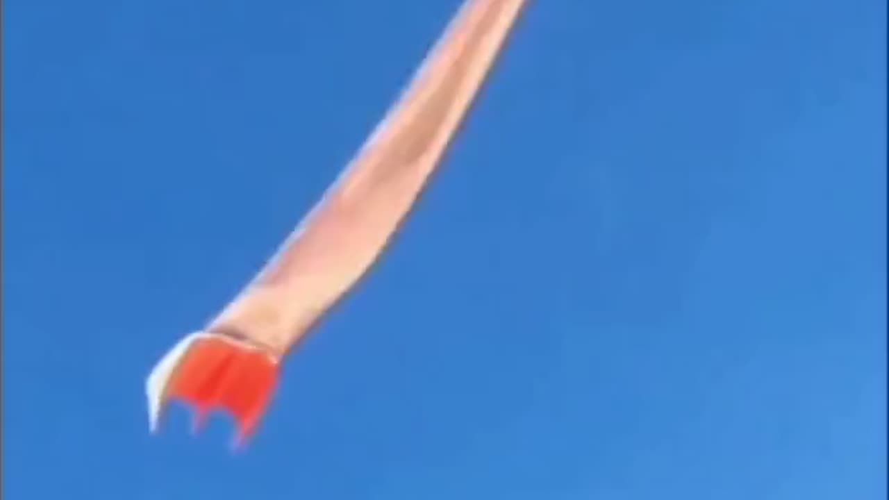 When The Kite Flies You