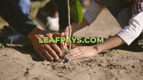 LeafPays Net-Zero Super App and Token Development