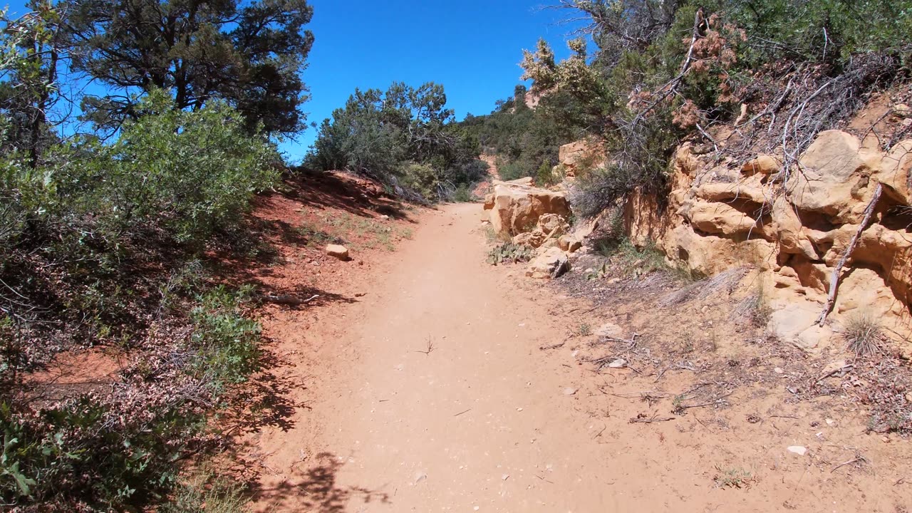 Hiking Cougar Canyon, Utah, Zion