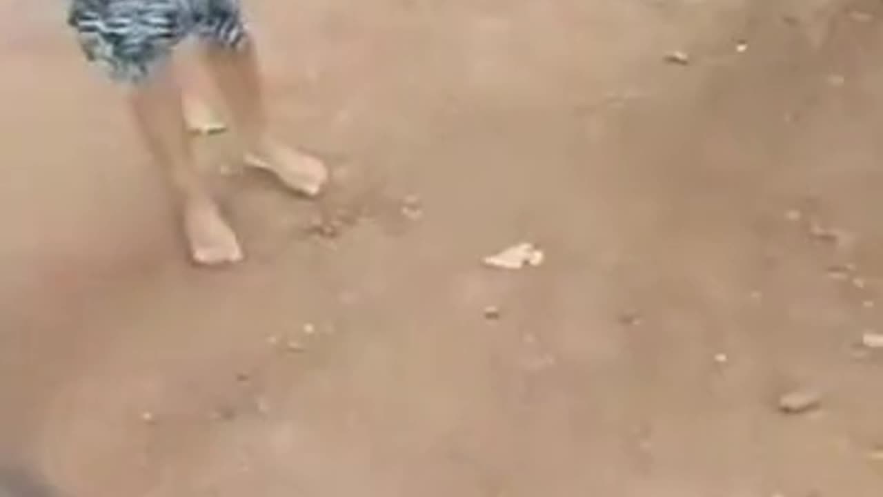 MST tentando roubar propriedades