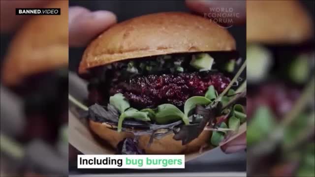 IKEA experimenting with meatless meatball made with bugs