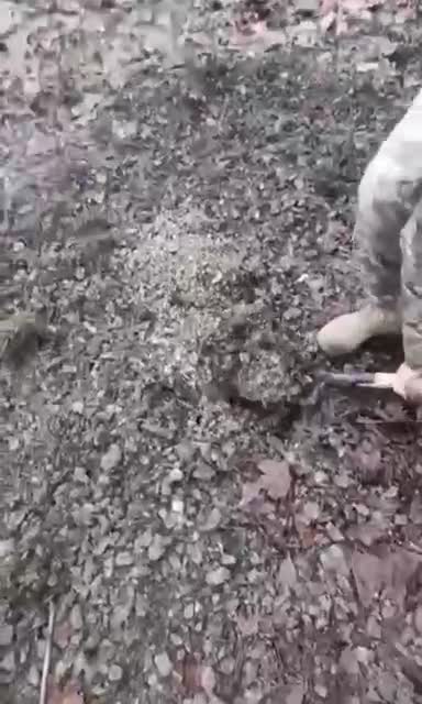 Footage from Ukrainian Demining Unit