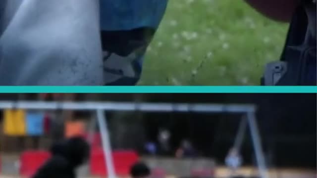 la cosa es que la gente no le gusta trabajar le gusta que le den gran parte de cosas