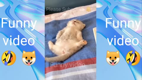 Funny Animals Videos 😂 Funniest Cats and dogs 😹🐶 part 22 (720p60fps)