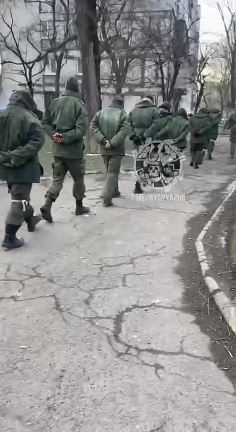 Around 20 Russian Soldiers Surrender All at Once