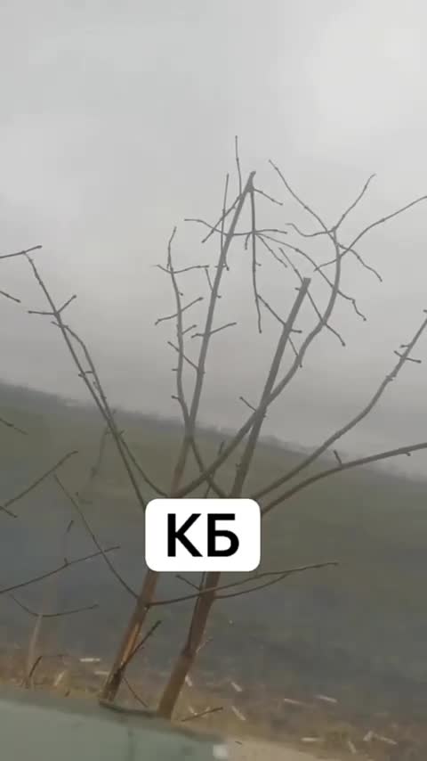 BMD-4M from a 30-mm automatic gun 2A72 works out on the positions of neo-Nazis.