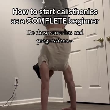 Beginner Calisthenics Guide!