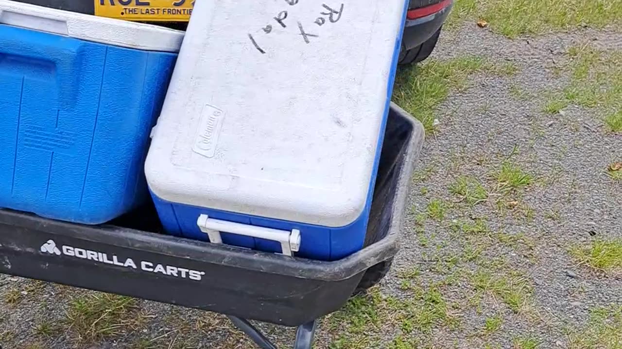 Red Sockeye Salmon from the Kenai River to the freezer. AnchPoint, AK