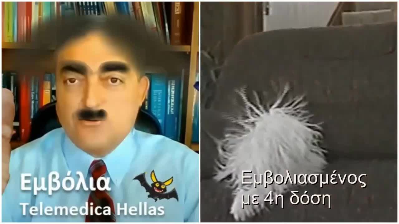 Σκύλος εμβολιασμένος με 4η δόση