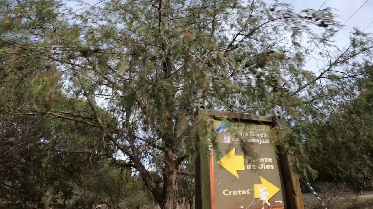 Man Living His Best Life Riding Horse At Full Speed