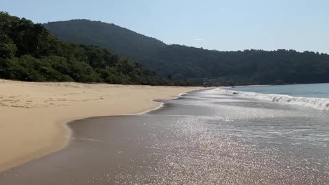 3/10 - Baia dos Golfinhos | Governador Celso Ramos - SC