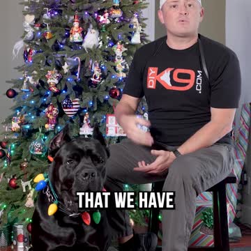 We’re Giving Away Free Dog Training!