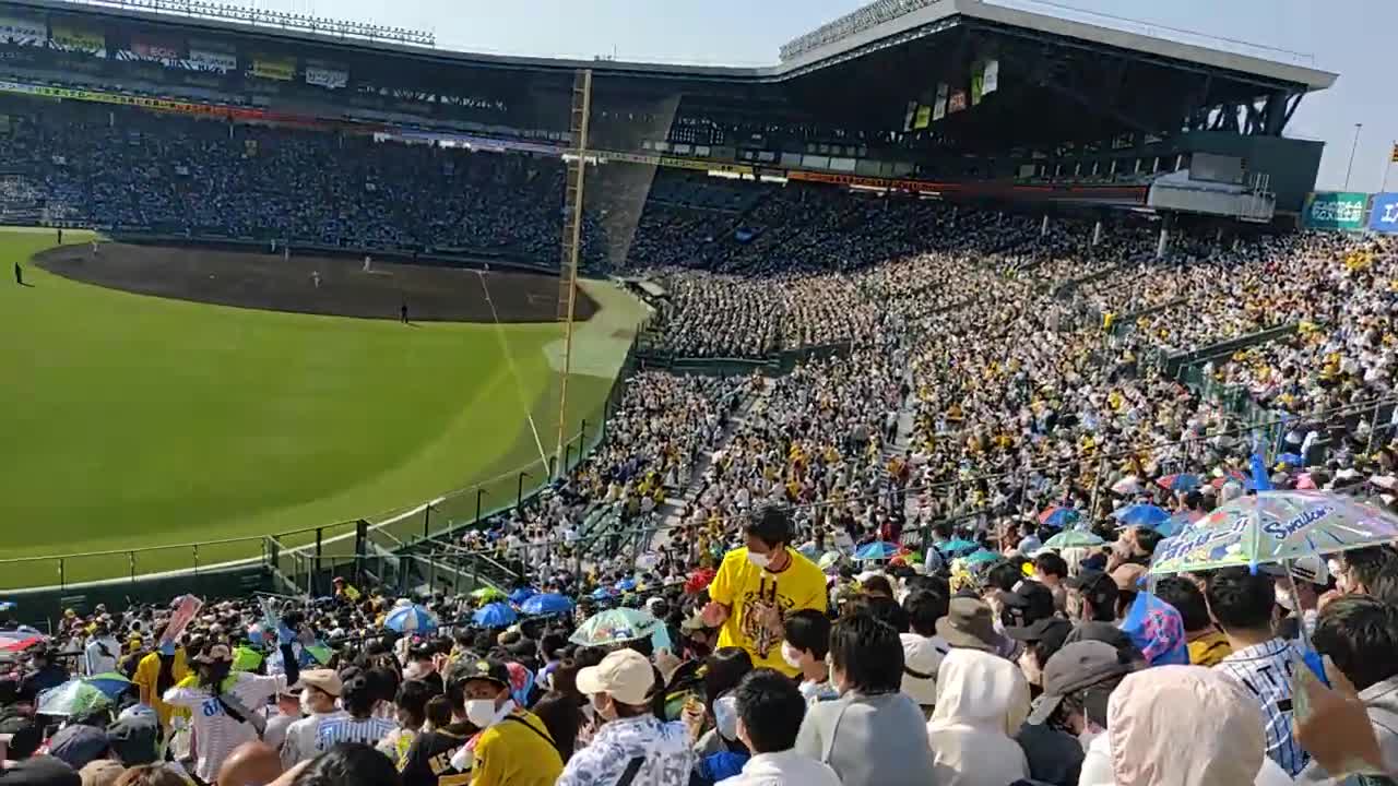 2022年GW甲子園、ヤクルト東京音頭