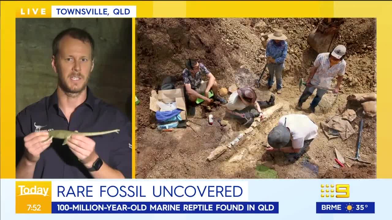 Scientists uncover 100 million-year-old fossil in Queensland 9 News Australia