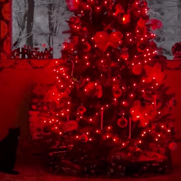 It’s almost Christmas time!